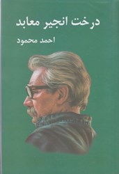 نمایش جزئیات برای  درخت انجير معابد (جلد اول و دوم) تصویر  درخت انجير معابد (جلد اول و دوم)