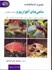 تصویر  ماهي‌هاي آكواريوم:شناخت و نگهداري (انواع،نگهداري،تجهيزات،تكثير و پرورش و بهداشت) همراه 99 عكس رنگي،14 شكل و 8 جدول شكل, تصویر 1
