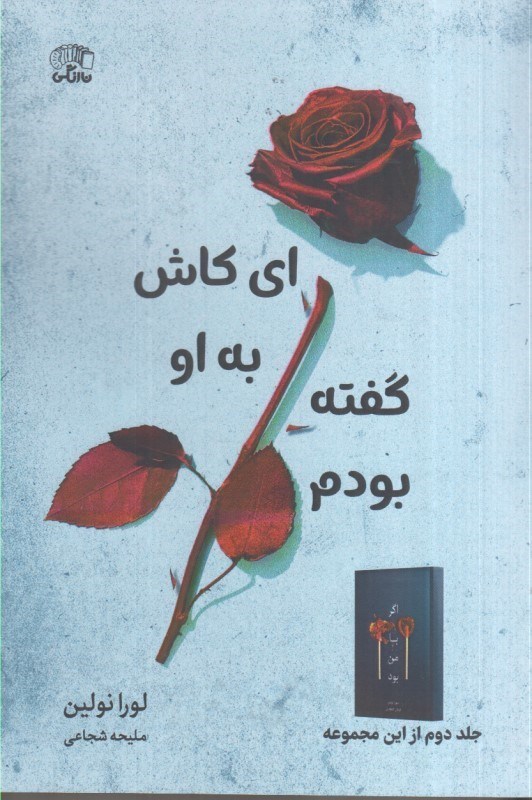 تصویر  اي كاش به او گفته بودم (جلد دوم اگر با من بود)